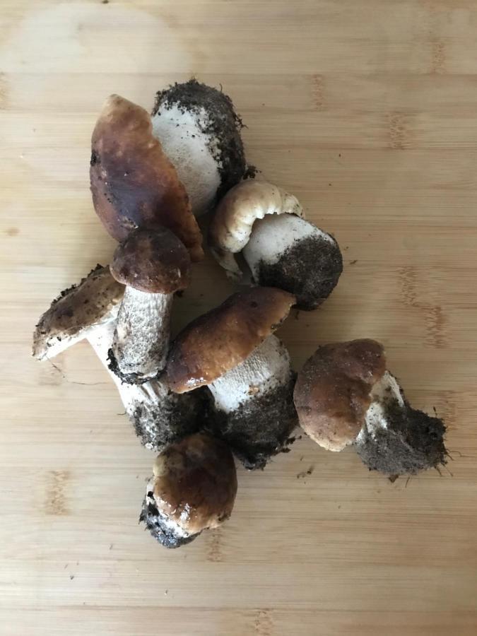 Mazurska Stodola Na Polwyspie Pilchowskim Pilchy Luaran gambar